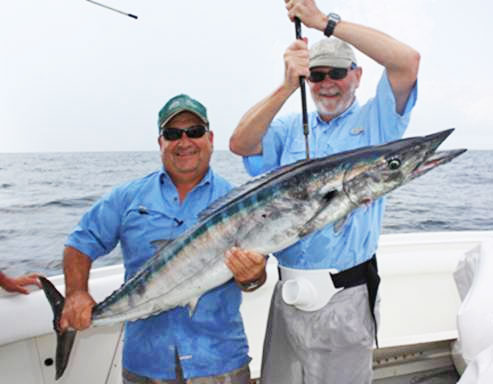 blue wahoo fish