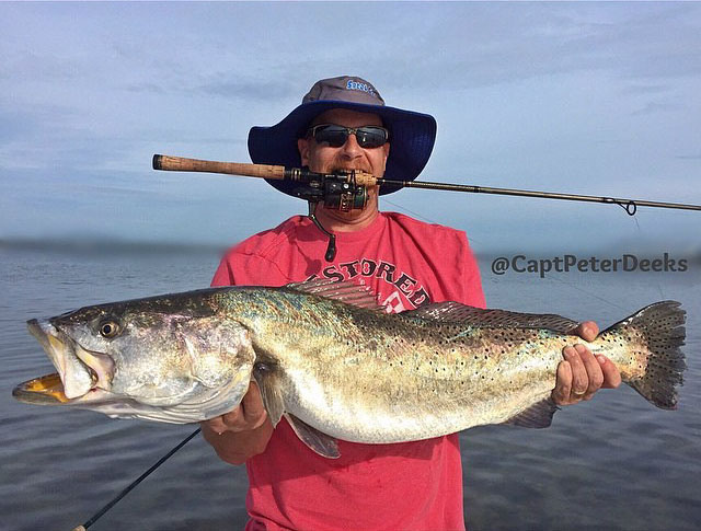 Florida record trout