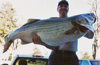 Rodney Ply with his record pending striper